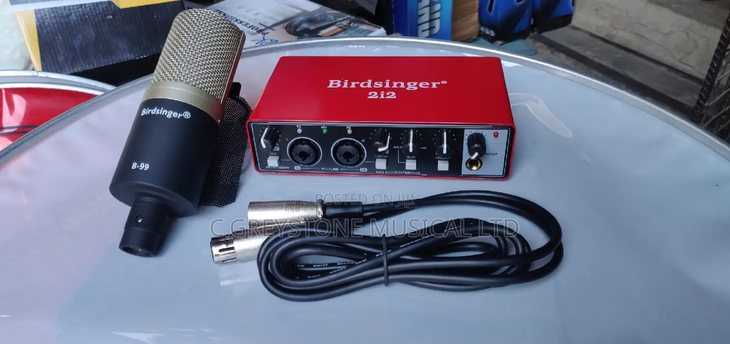 Studio Mic and Sound Card Birdsinger 2i2/B-99