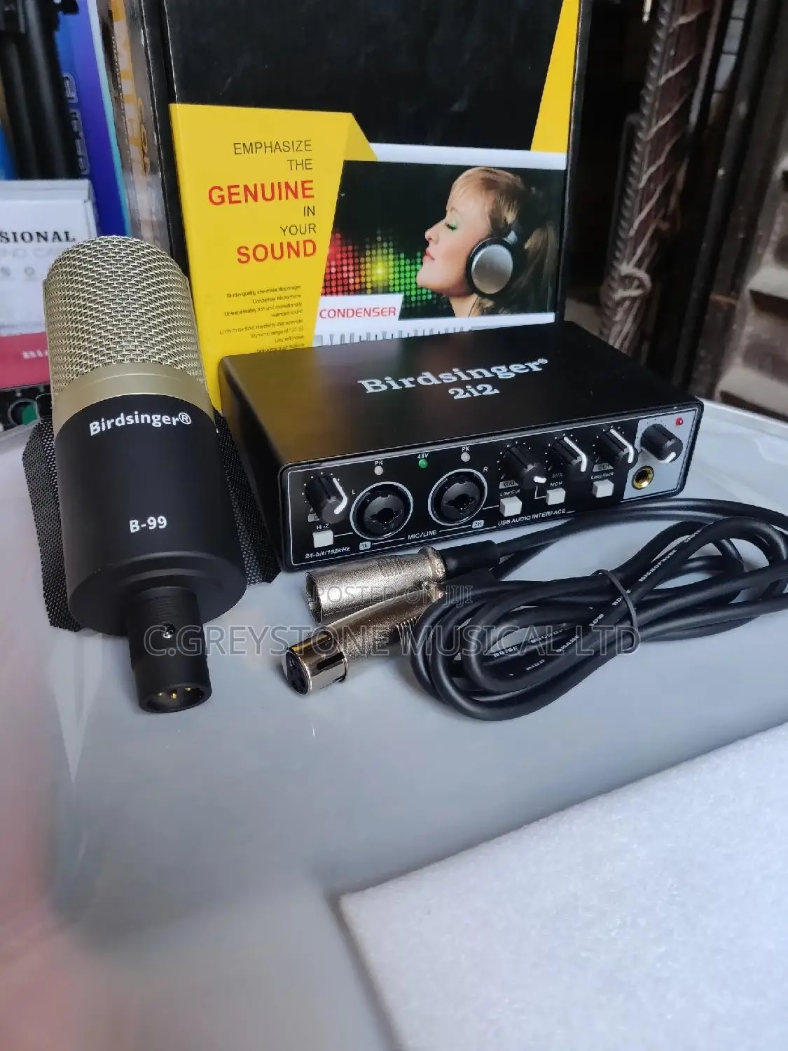 Studio Kit Birdsinger Mic Soundcard 2i2/B99 