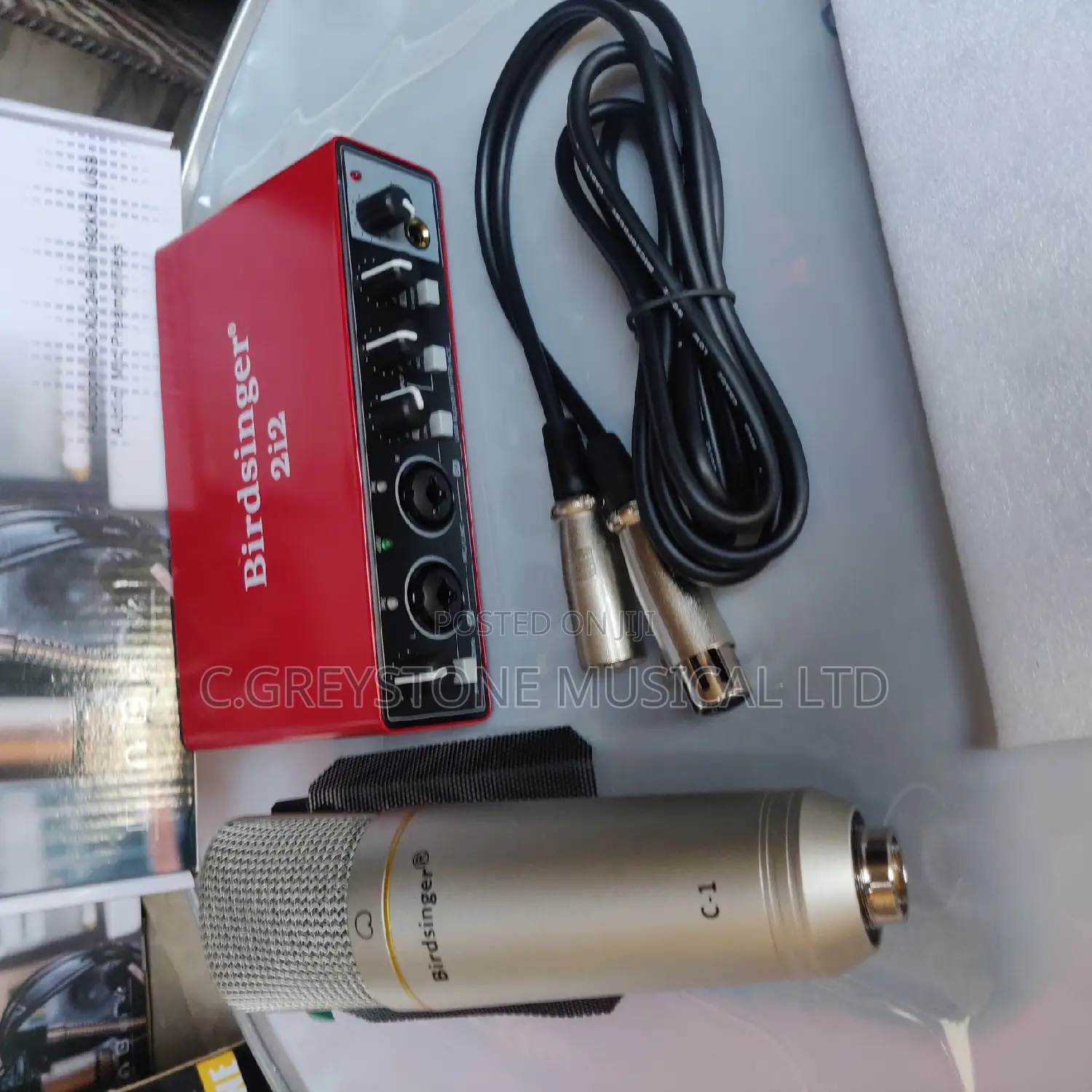 Birdsinger C1 and 2i2 Studio Set 