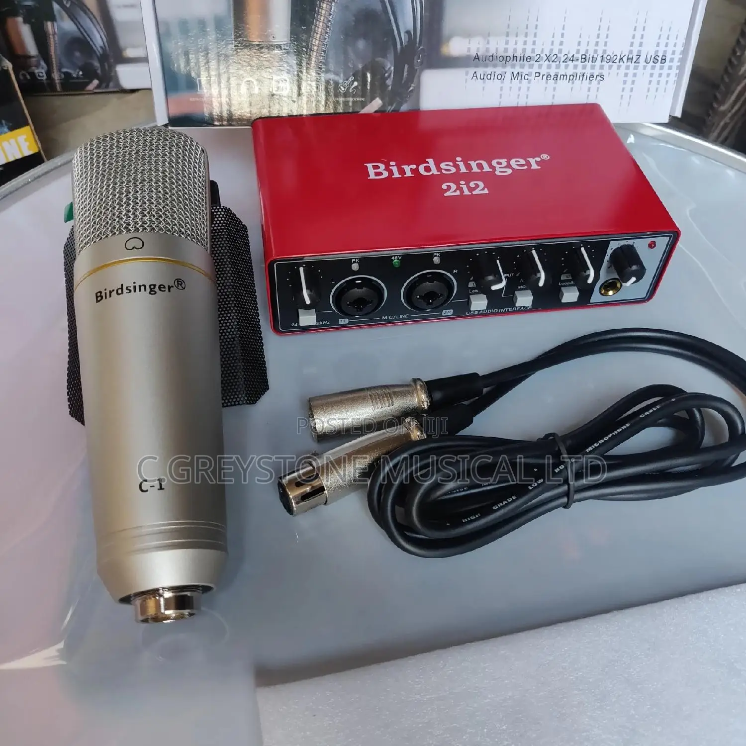 Birdsinger C1 and 2i2 Studio Set 