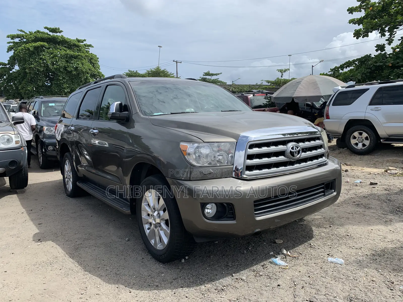 Toyota Sequoia Platinum 4dr SUV 4WD (5.7L 8cyl 6A) 2010 Brown