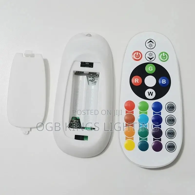 Power Plug RGB LED Strip 1000w IR Remote Controller 220v