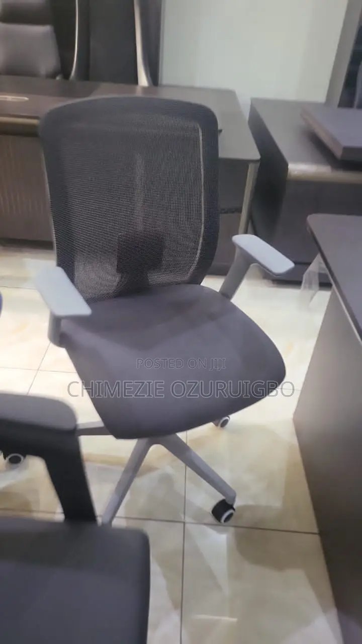 Mesh Grey Ergonomic Office Chair
