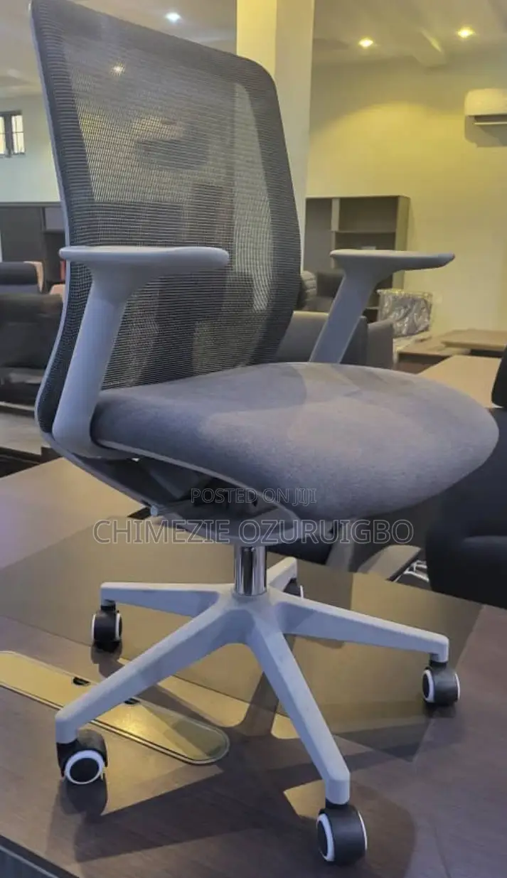 Mesh Grey Ergonomic Office Chair