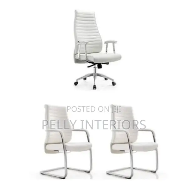 Executive Office Chair With 2 Visitors Chair