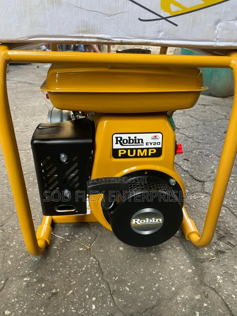 3" Original Robin Pumping Machine