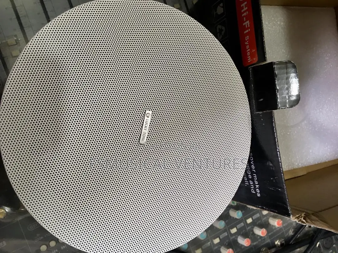 25watts Ceiling Speakers Lucky Tone