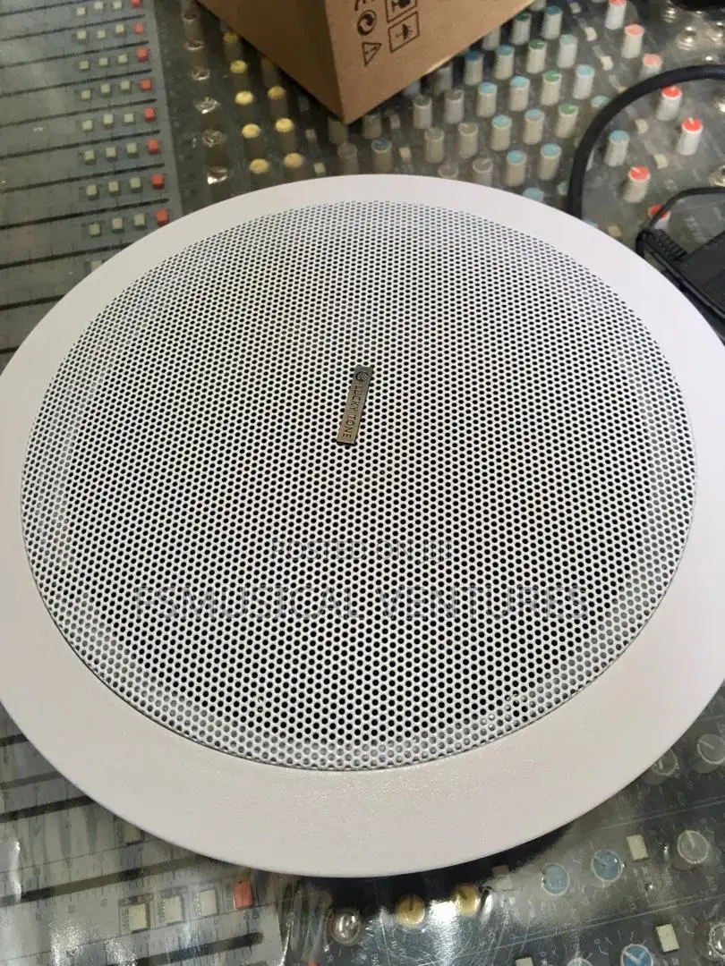 Lucky Tone 100watts Ceiling Speakers