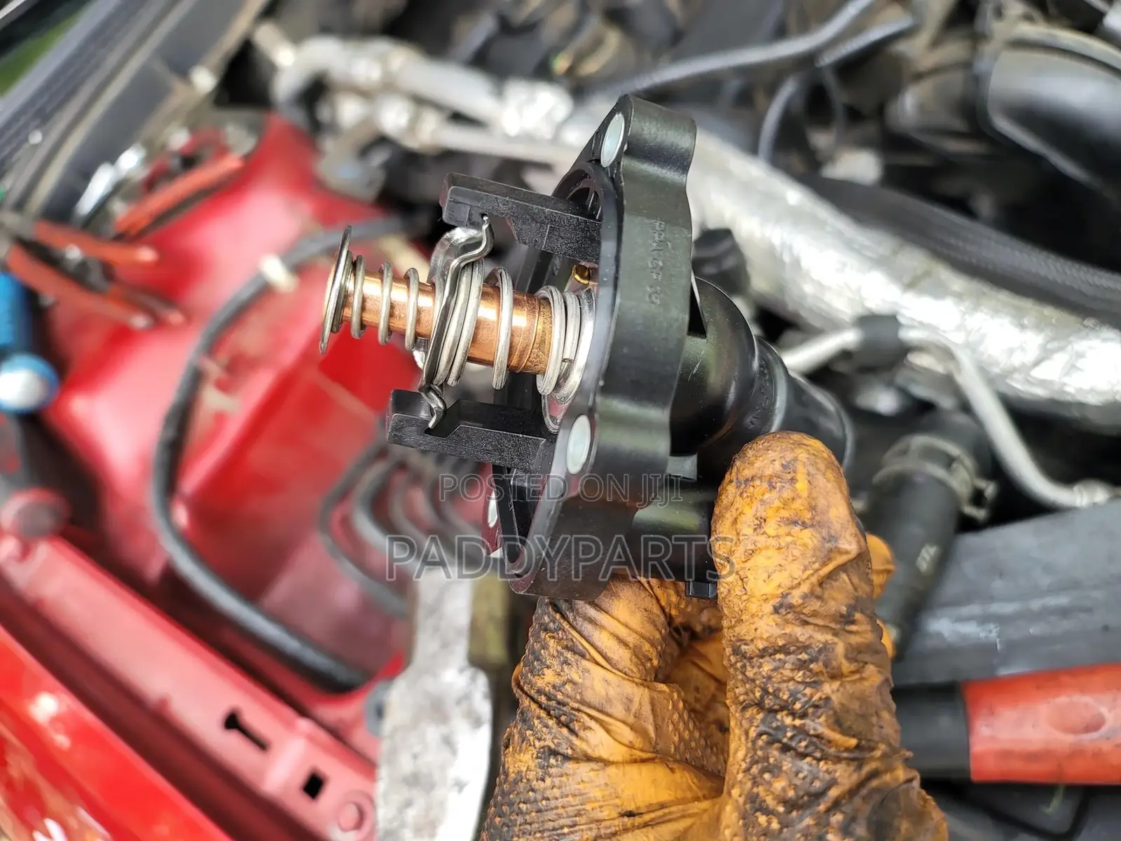 Ford Fusion Engine Thermostat