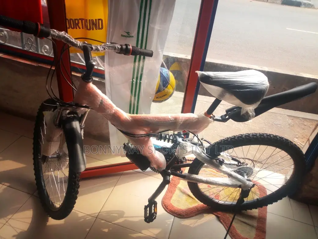 Adult Size 24 Riding Bike With Gear Selector