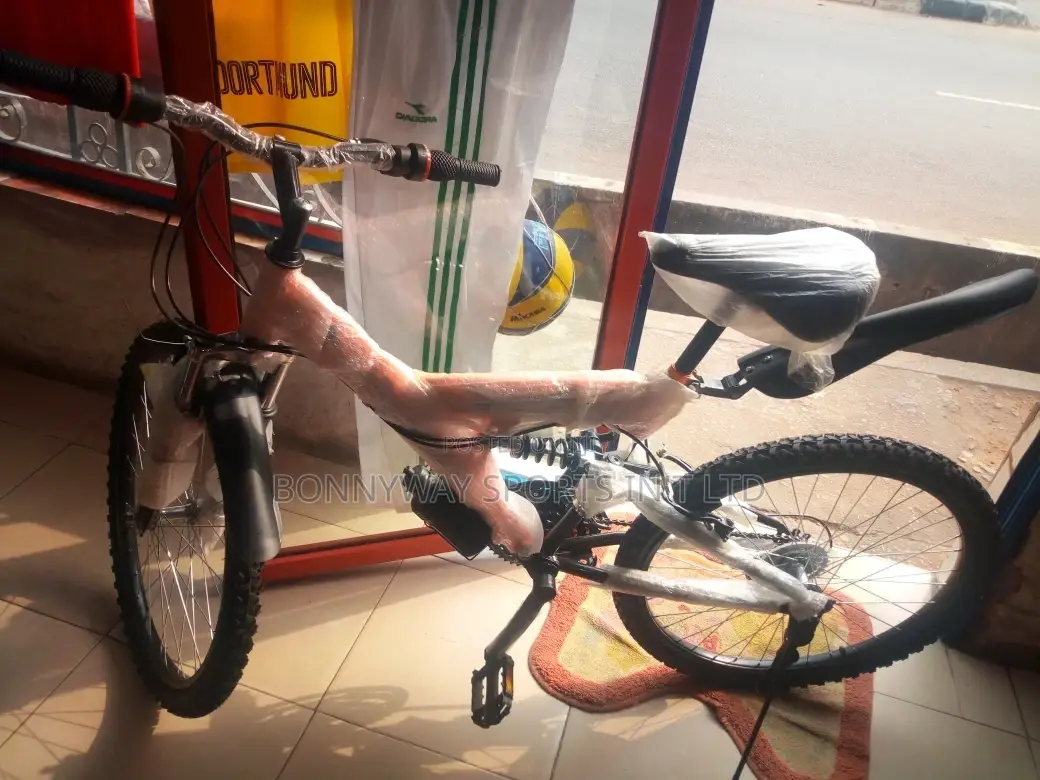 Adult Size 24 Riding Bike With Gear Selector