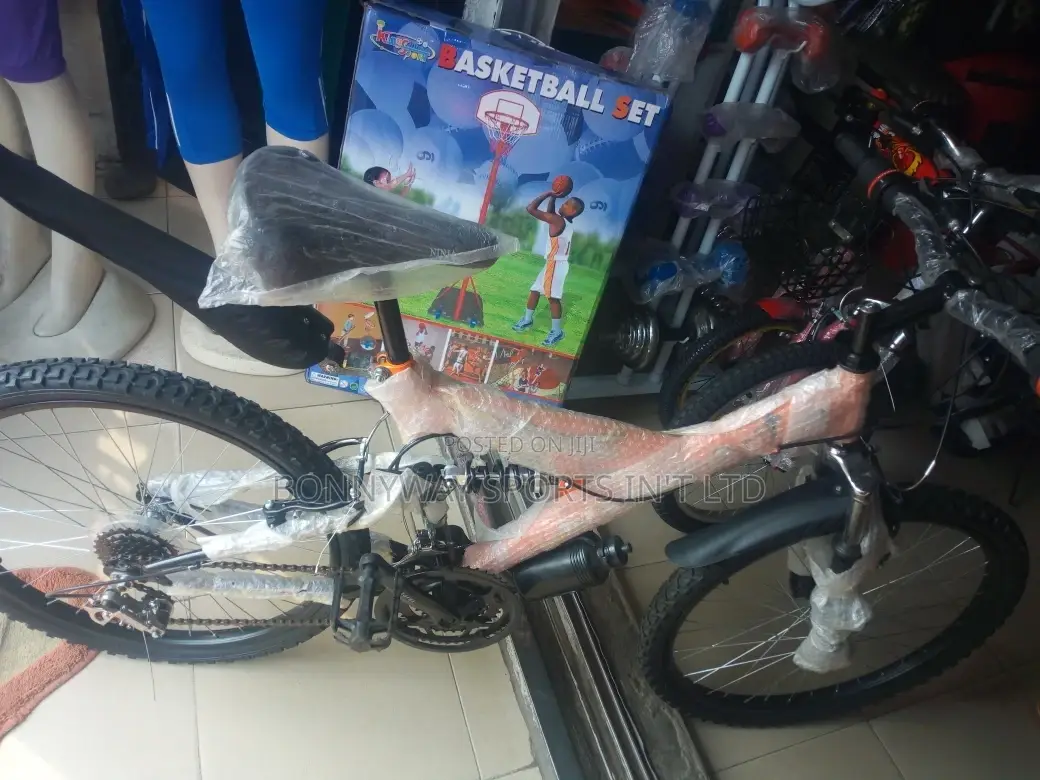 Adult Size 24 Riding Bike With Gear Selector