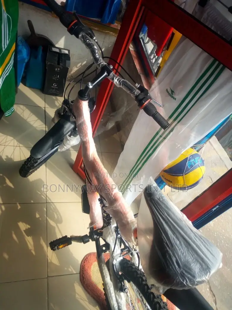 Adult Size 24 Riding Bike With Gear Selector