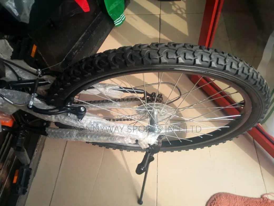 Adult Size 24 Riding Bike With Gear Selector