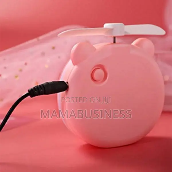 Mini Handheld Fan Makeup Mirror Pig USB Fan