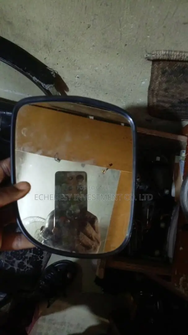 Side Mirrors for Rx330