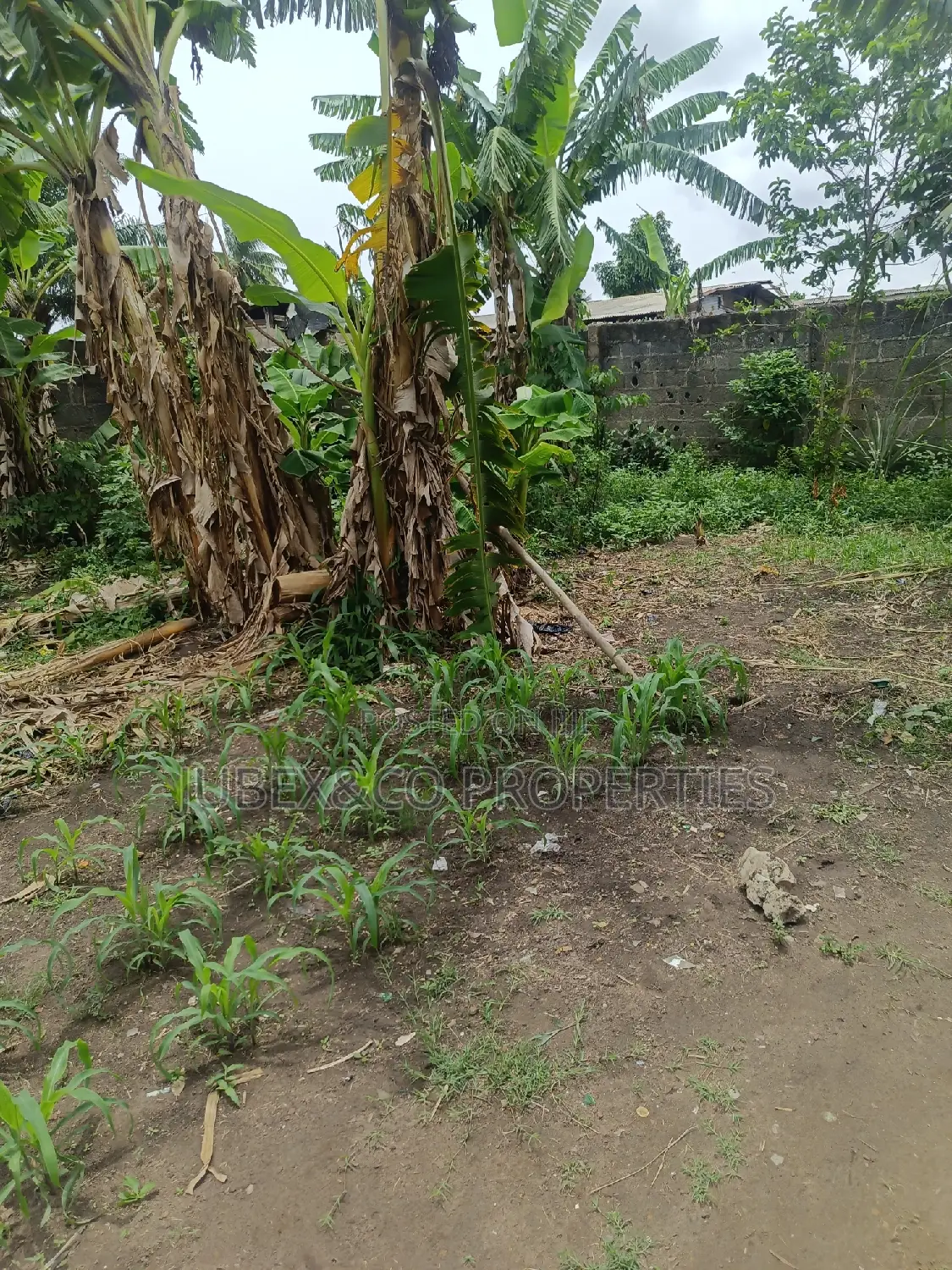 Half Plot for Sale at Iyana Iyesi