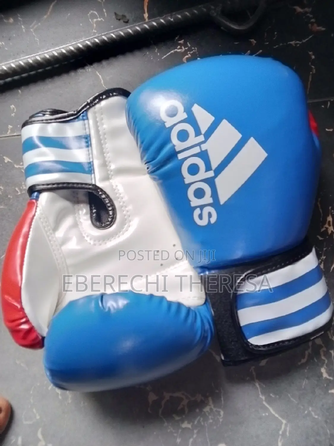 Venum Boxing Gloves