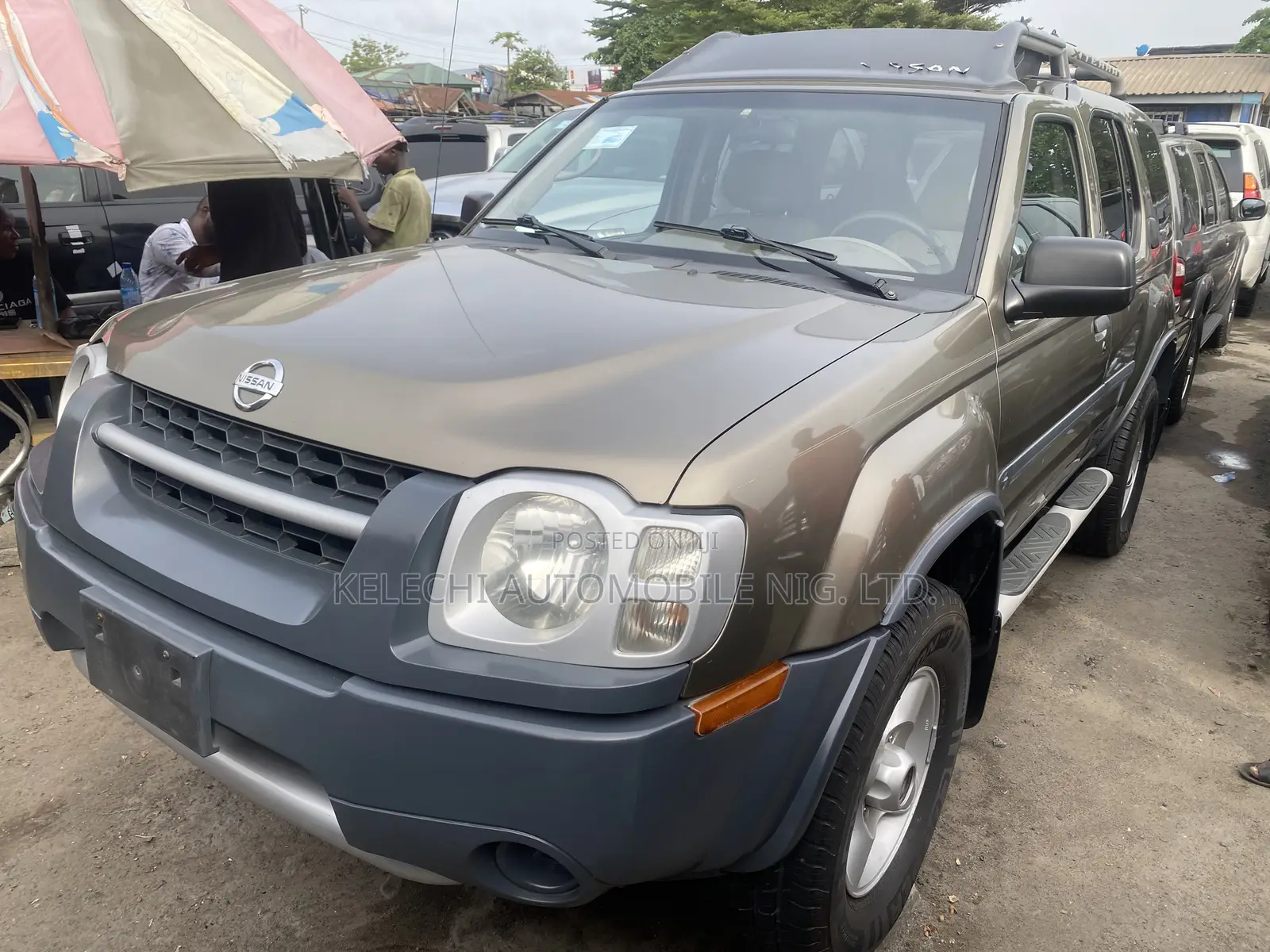 Nissan Xterra 2002 Gray
