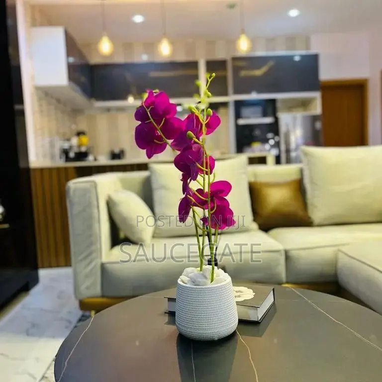 3 Bed Apartment. Shortlet Ikate, Lekki