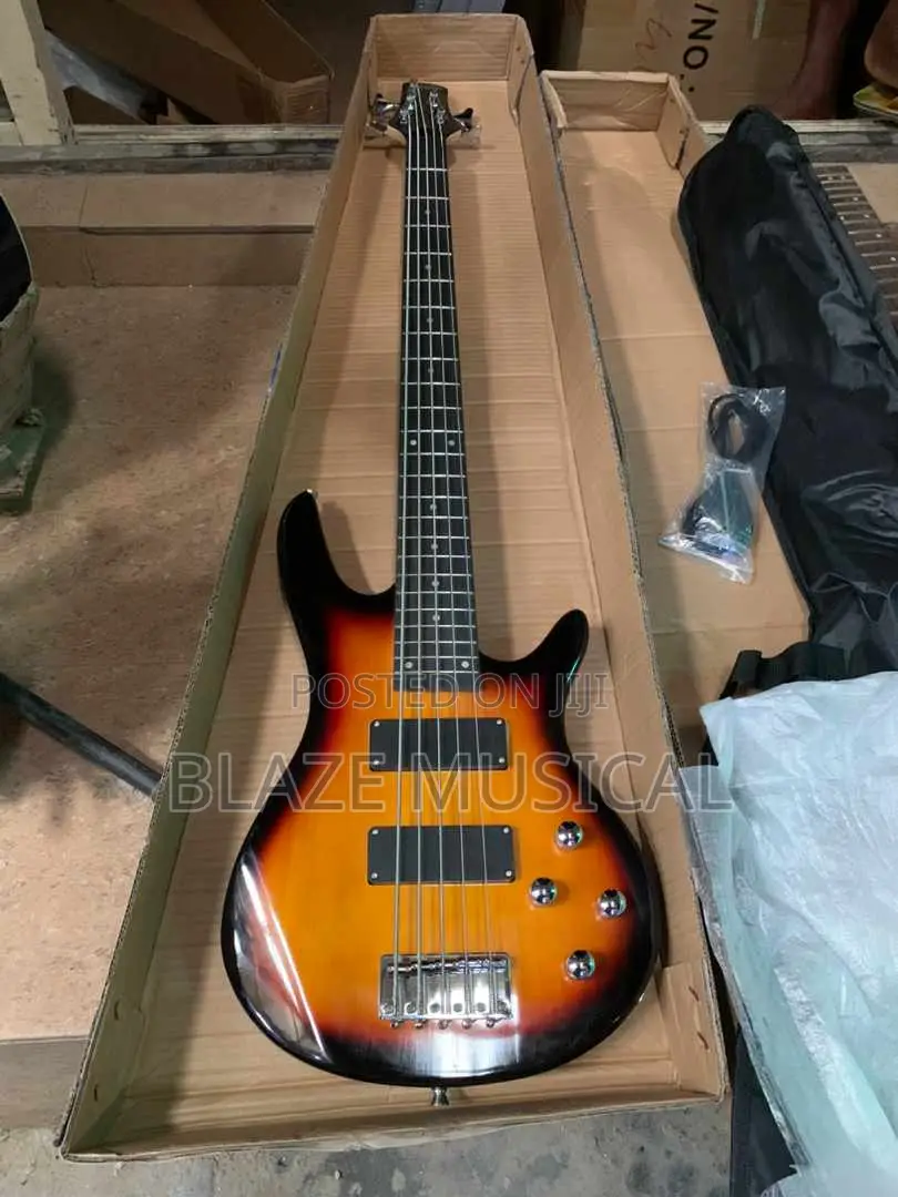 Professional Bass Guitar 
