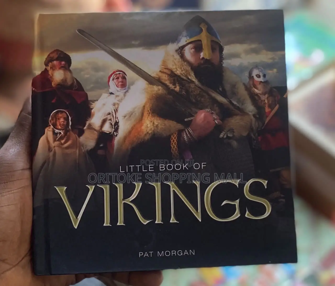 Little Book of Vikings