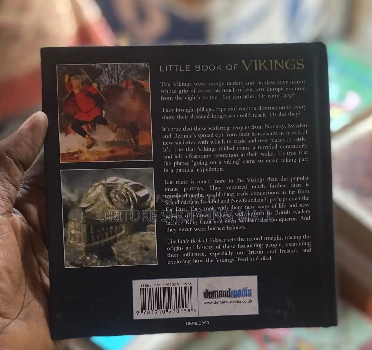Little Book of Vikings