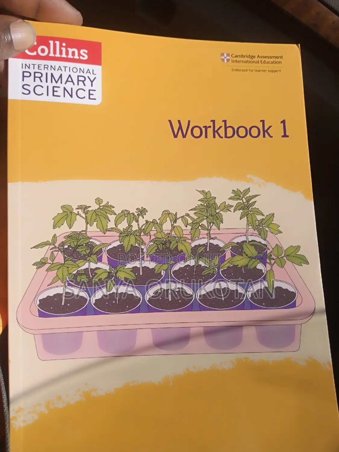 Collins International Primary Science Textbook Work Book