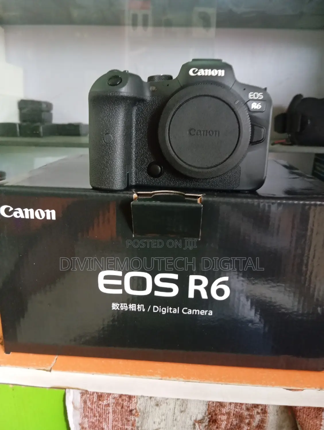 Canon R6 Video Camera