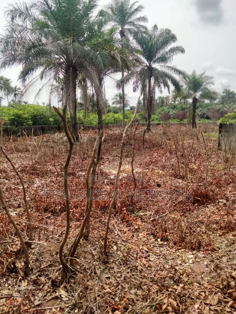6 Plots of Land Strategically Located at Owerri Airport Road
