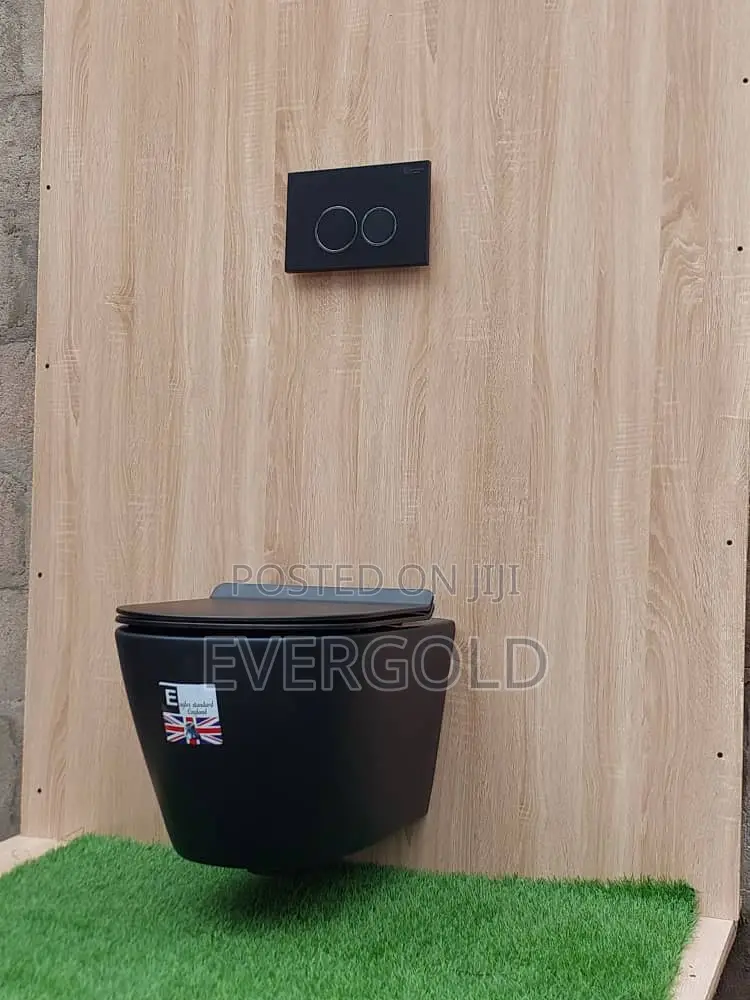 Black Conceal Water Closet With Original Flushing Tank