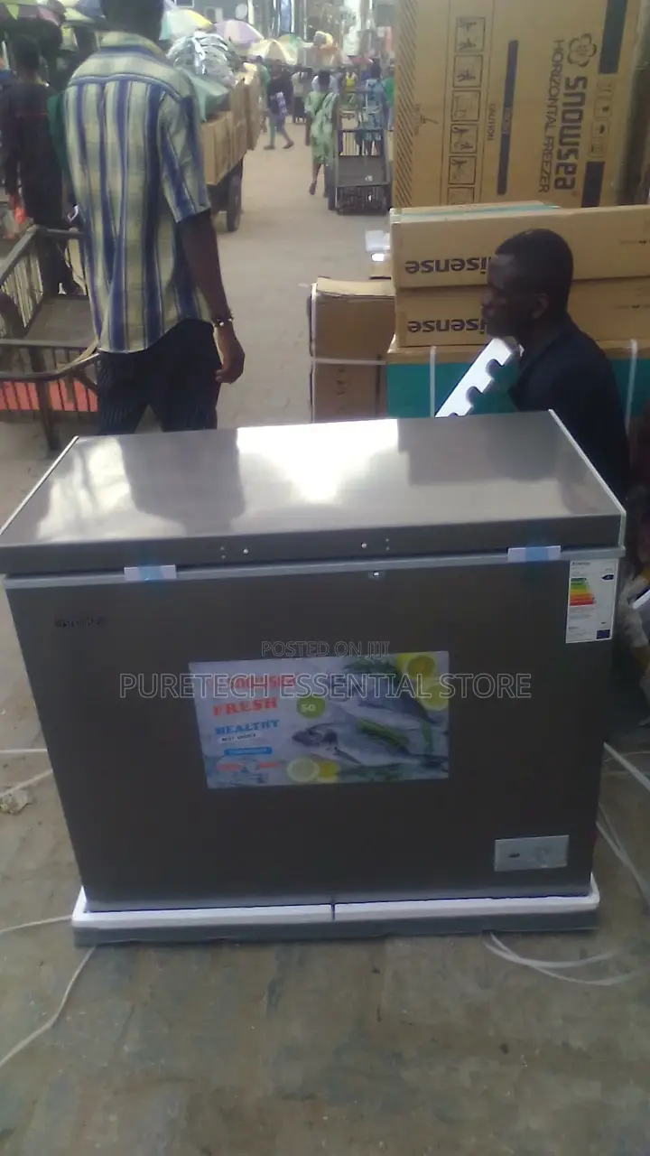 Snowsea Chest Freezer BD308G