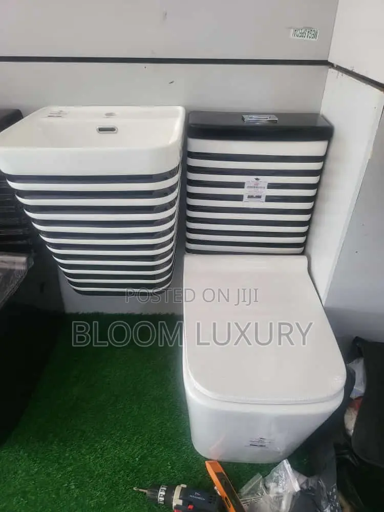 Series of Our Executive Water Closet 