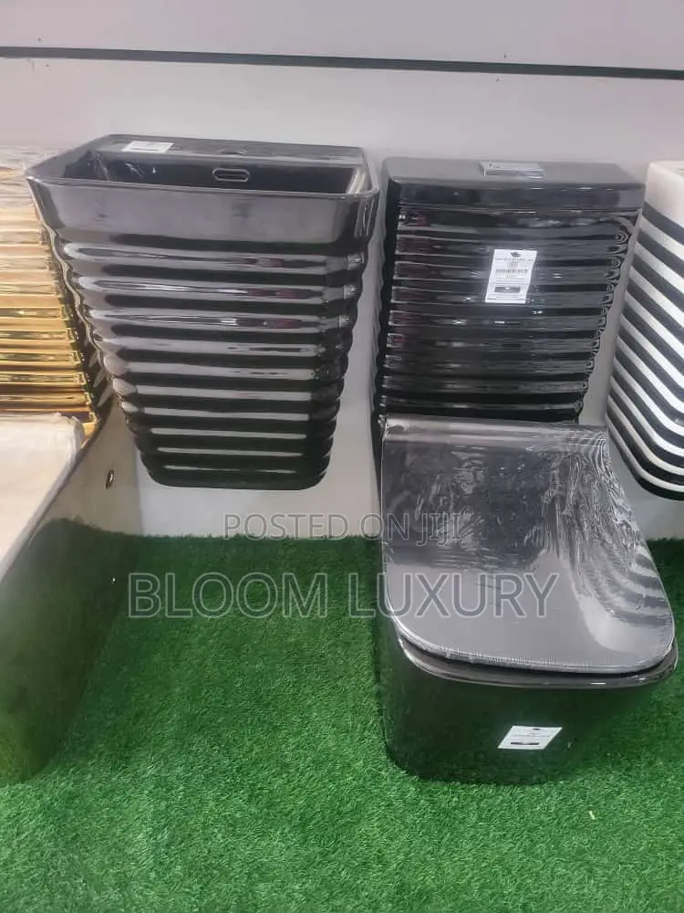 Series of Our Executive Water Closet 