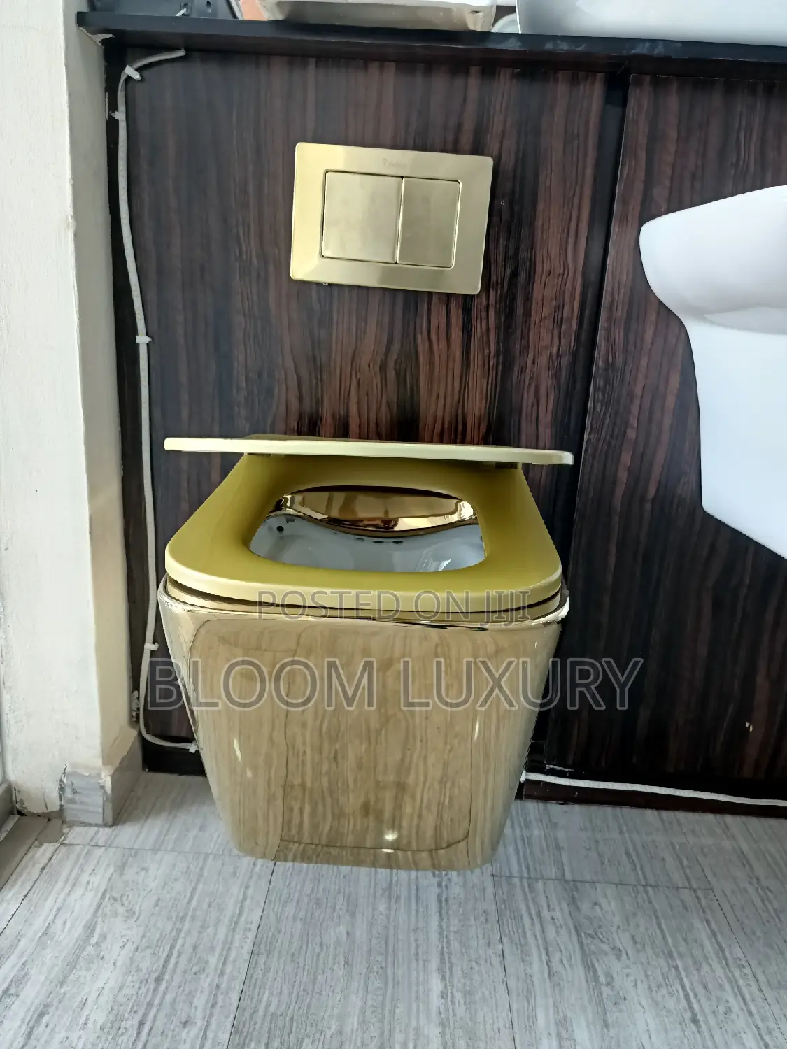 Gold Conceal Toilet