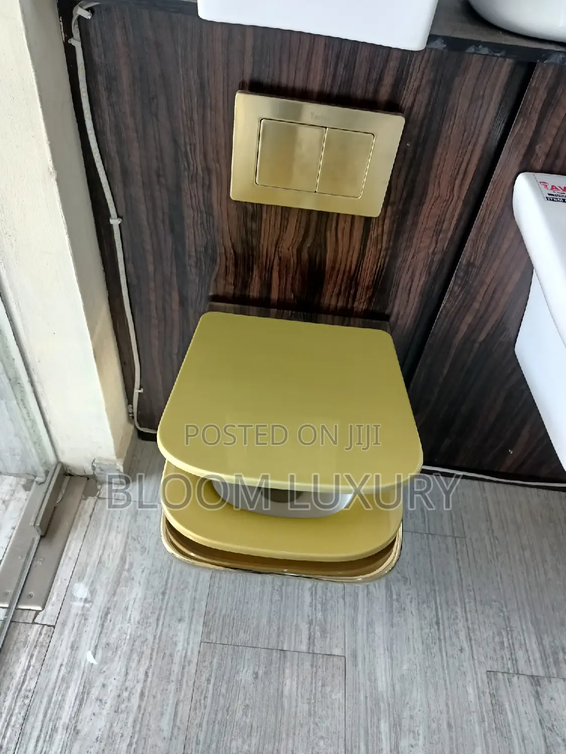 Gold Conceal Toilet