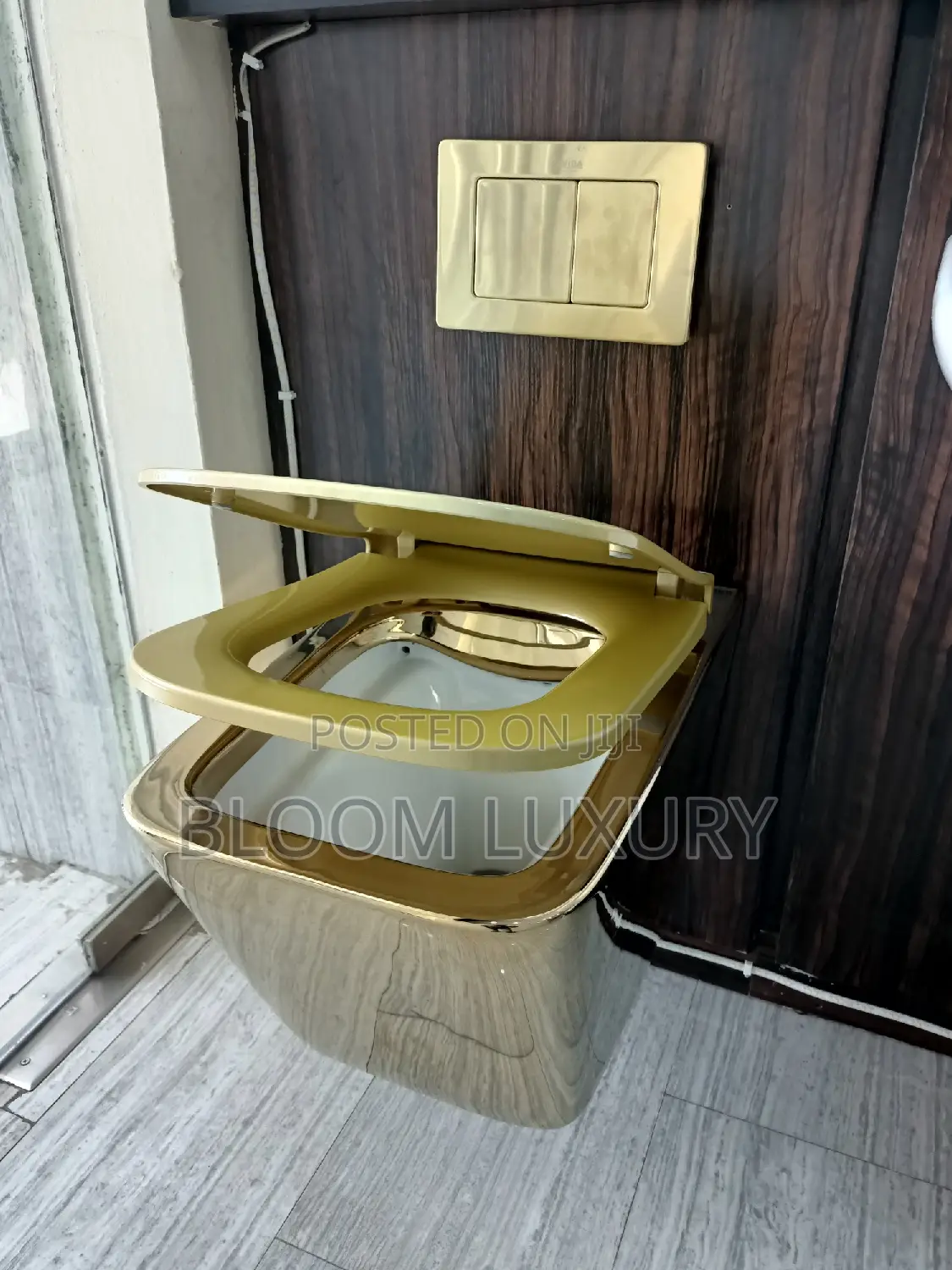 Gold Conceal Toilet