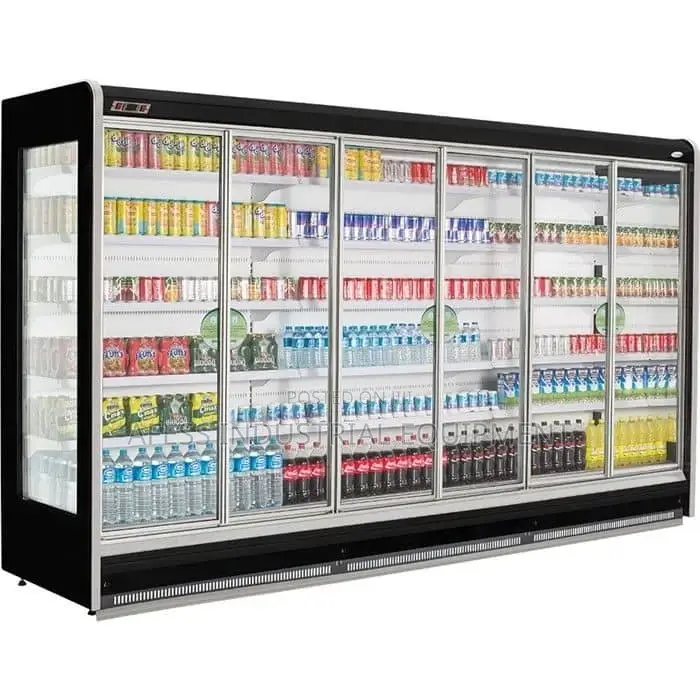 Six Doors Standing Display Chiller