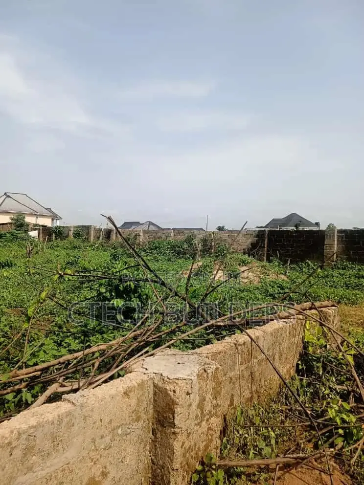 Fenced Land 100ft X 100ft at Airport Rd, Ulemon Evbuokhai