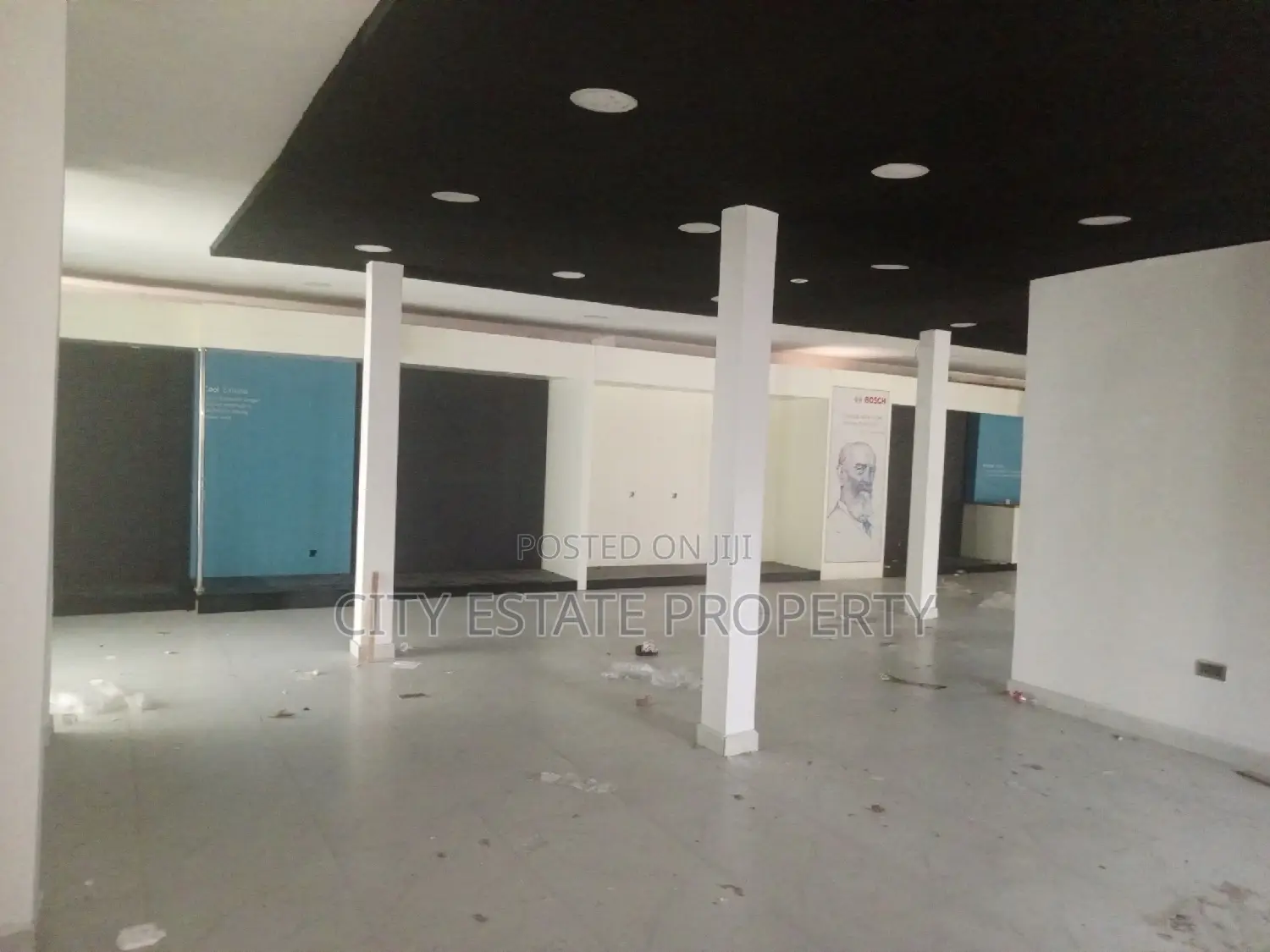 Alone in the Compound Commercial Building Complex for Lease