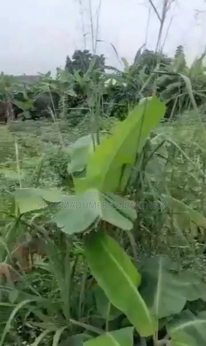 For Sale Land at Rukpakulishi , Eliozu