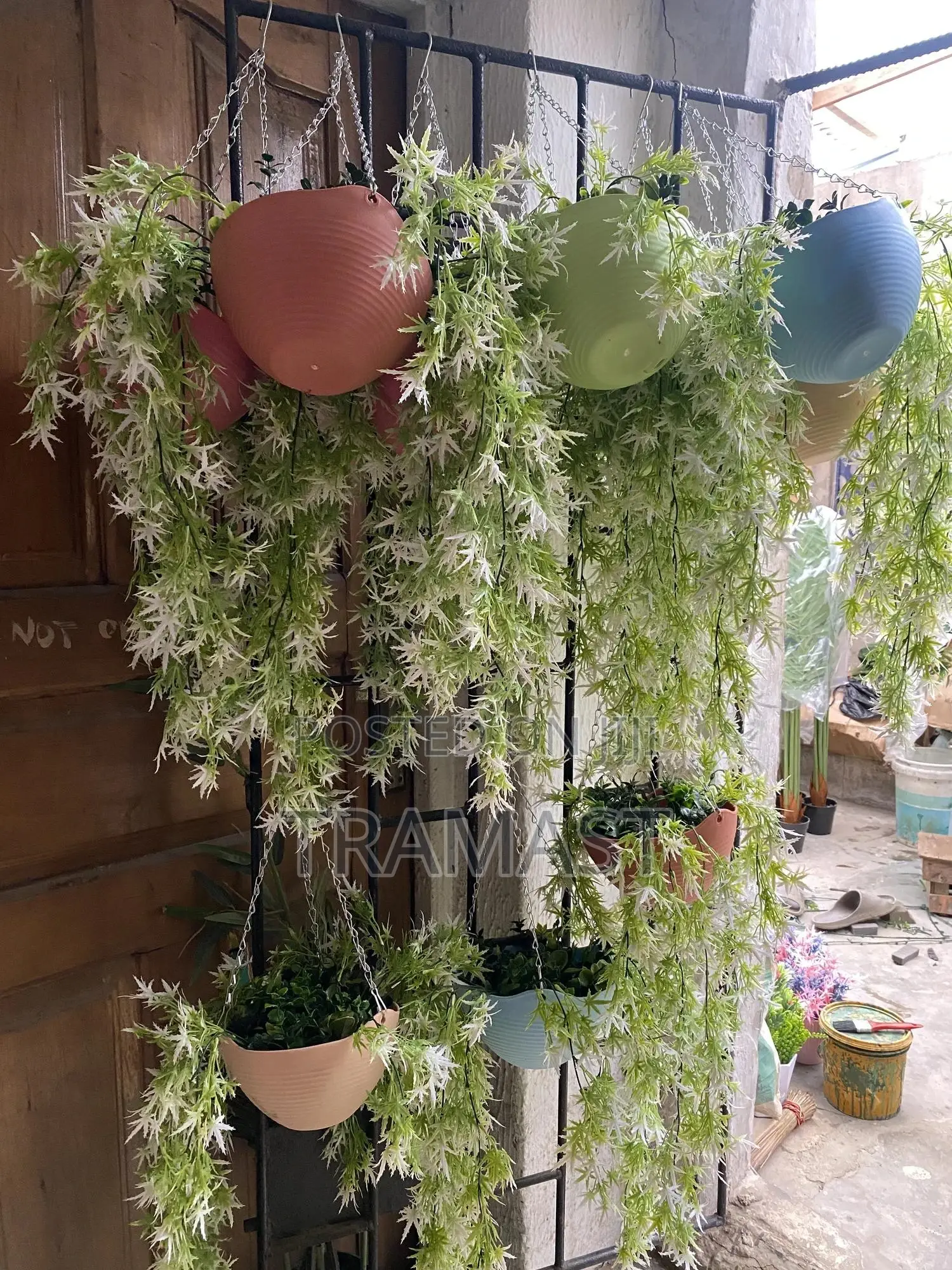 Artificial Wall Hanging Plant for Home and Event Decoration