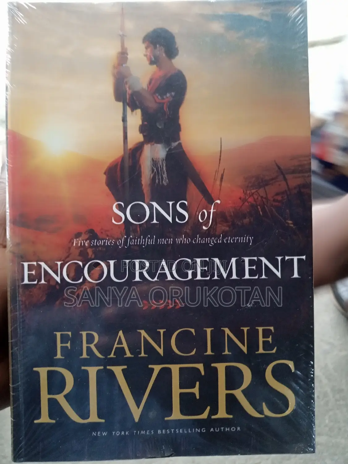 Sons of Encouragement by Francine Rivers