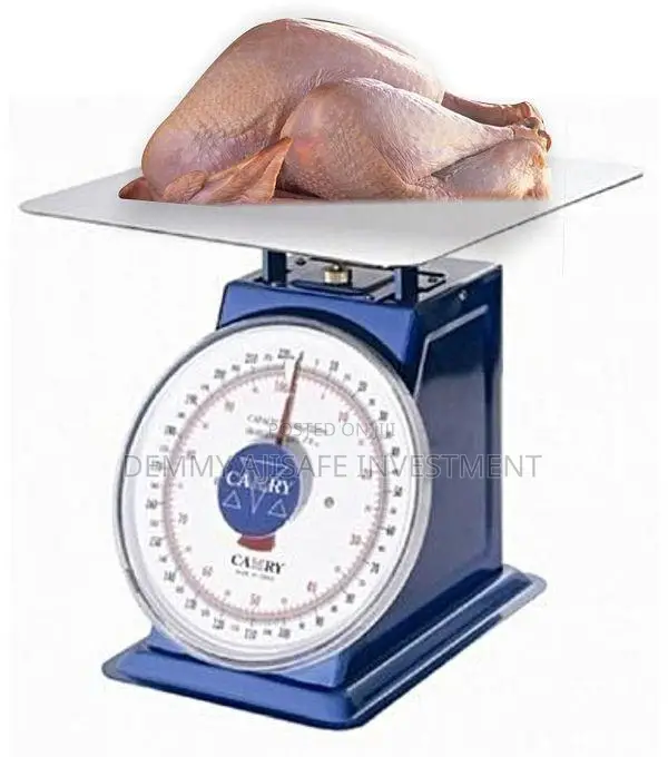Spring Scale 50kg