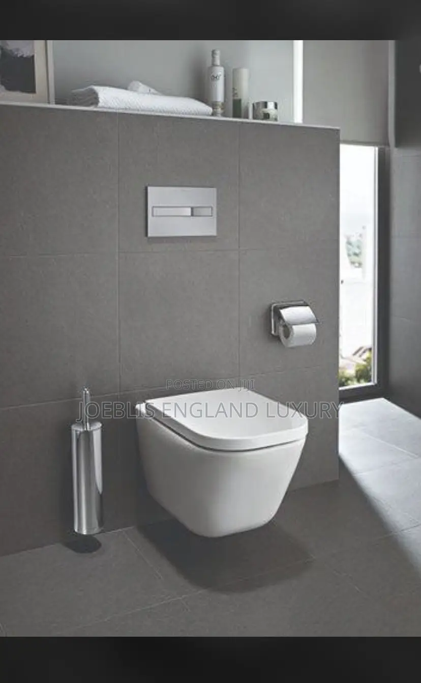 Unique Standard Concealed Wc