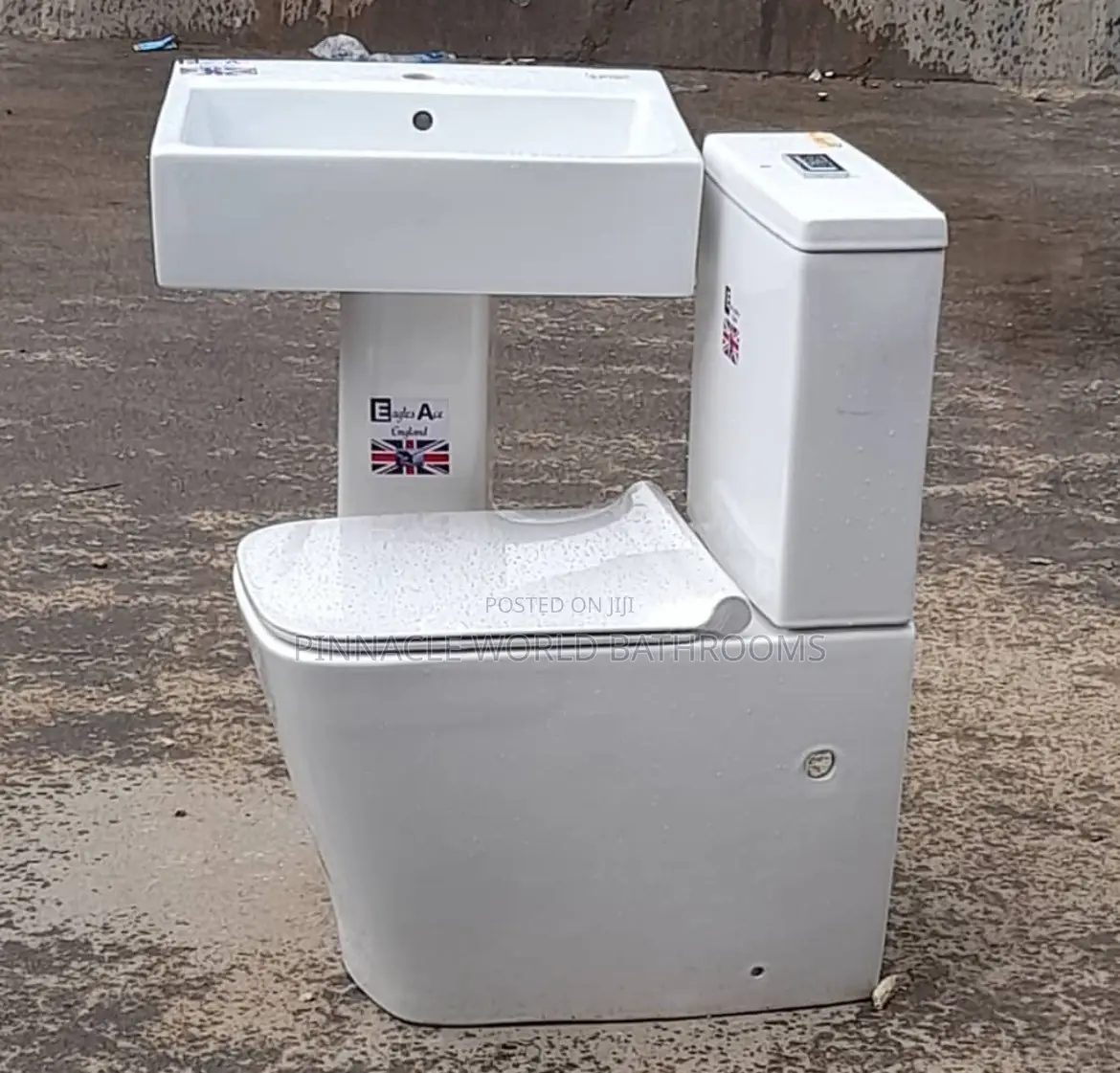 Executive Wc Set With Basin and Pedestal 0013