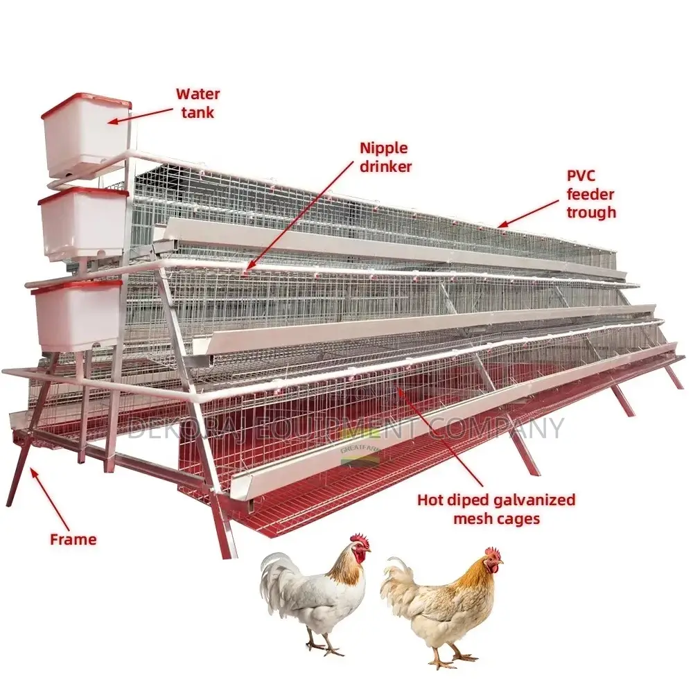 Exclusive Imported -96 Bird Cage: Boost Your Laying Rate