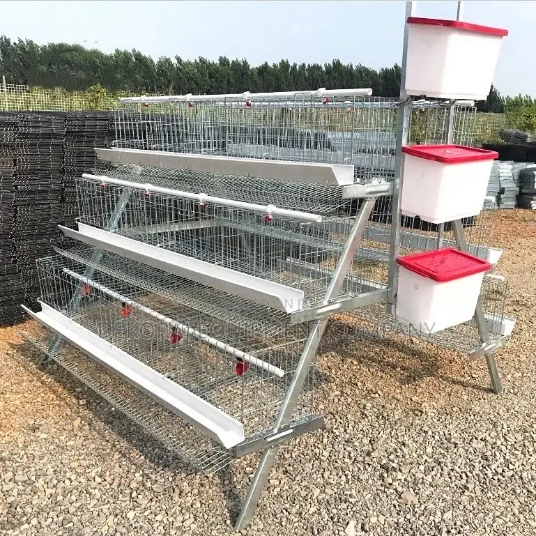 Improve Egg Production With Our 120-imported Bird Cage