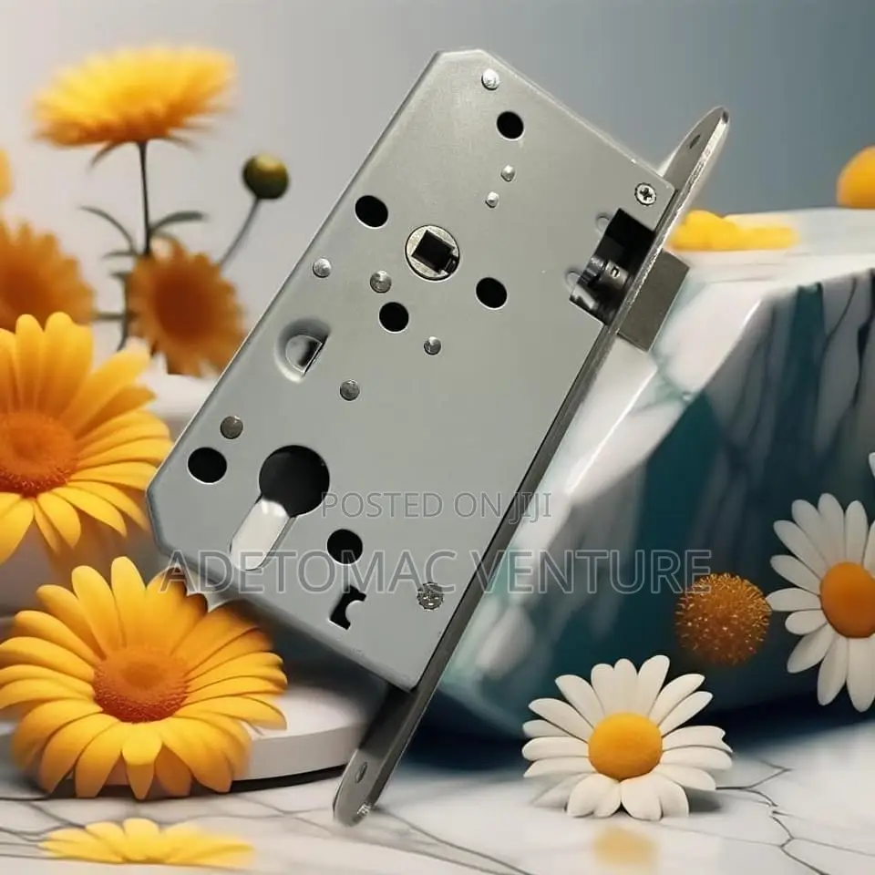 Original Europe Stainless Lock Set Engine