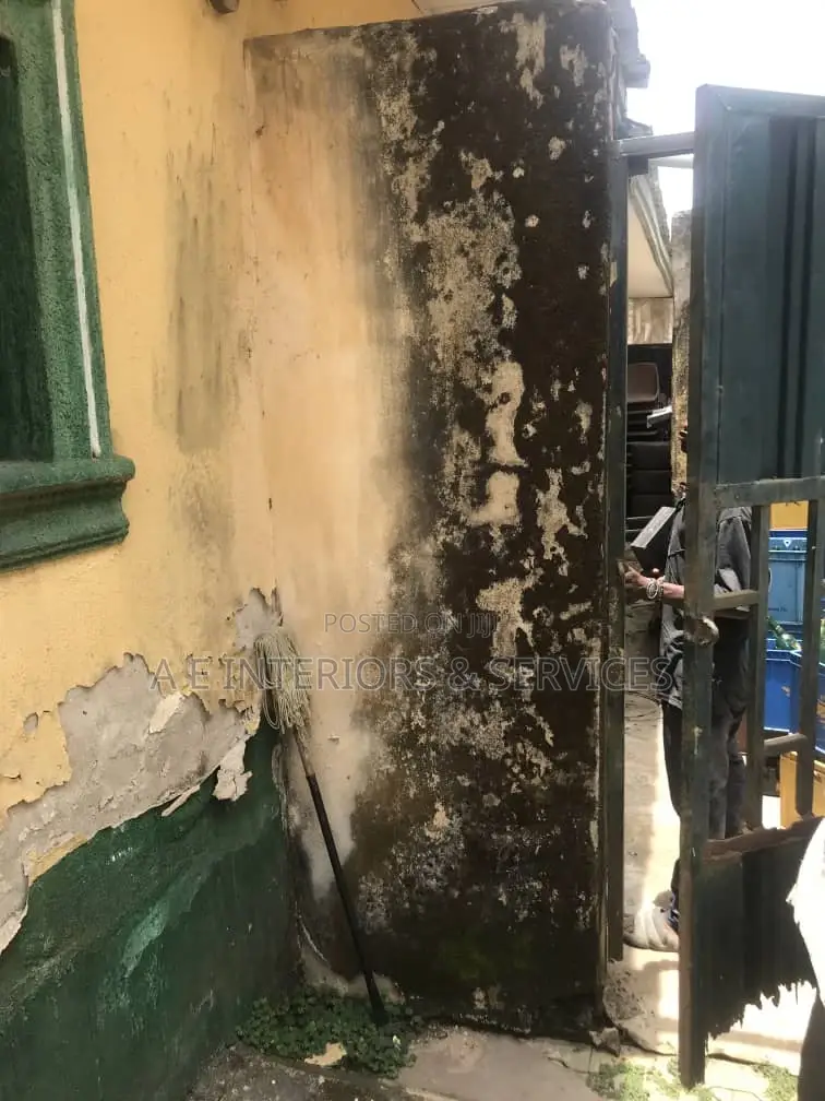 Wall Defect Remedy